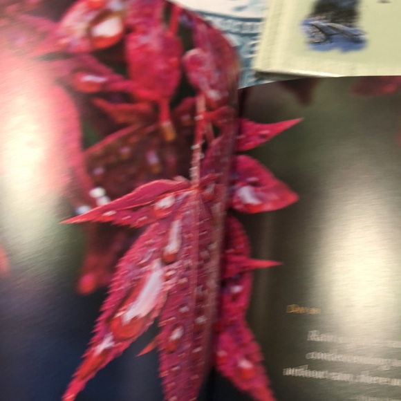 7 Inspirational books - Picture 4 of 6